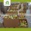 Bulk fresh green qinguan apple from China