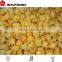 china price hot sales frozen mango dices