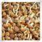 frozen nameko