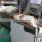 chemical dryer sterilizer/chemical industrial microwave oven