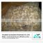 Wholesale frozen yellow baby clam meat