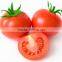 chinese imports wholesale packing bag 1000seeds/bag vegetable seeds tomato seeds in greenhouse