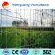 Pvc coated wire mesh & chicken wire mesh/welded wire mesh