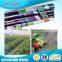 Best Quality Multifunctional Agriculture Nonwoven