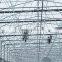 Multi Span Plastic Roofing Sheets Agricultural Commercial Greenhouses for sale