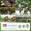 China polypropylene nonwoven fabric , weed control,grape cover