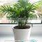 Modern indoor decor small white ceramic flower pot with high quality