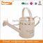 colored garden metal watering can for plant with hand