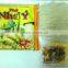 Instant rice noodles chicken flavour