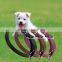 1 pcs PU Leather Dog Pet Cat Puppy Collar Neck Buckle Adjustable Safety Belt