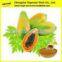 100% natural Fermented papaya powder extract/new product/papaya powder