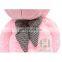 HI CE giant pink teddy bear with high quality,plush teddy bear in 2m as gift for friend