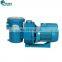 Manufacturers Supplies Aqua Swimming Pool Pumps