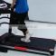 YPOO portable moveable cheap sale treadmill for home electric treadmill running machine