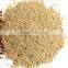 Organic Amaranth Seeds Exporters