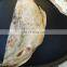 Flat Markook Saj Breads Maker Making Machine Gas