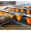 Hot sale on Automatic apple fruit green leaf vegetable washing machine