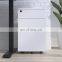 Commercial-Grade Mobile Wooden Filing Cabinet