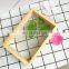 Solid Wood  Frame High Definition acrylic dry flower Frame Pack