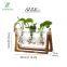 Plant Terrarium with Wooden Stand, Desktop Glass Planter Bulb Vase Bulb Plant Terrarium with Retro Solid Wooden Stand