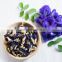Organic dried blue butterfly pea flower/Competitive price high quality dried butterfly pea flower