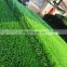 Good quality artificial grass certificate synthetic grass soccer sports artificial grass field turf