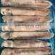 Good quality IQF frozen squid whole round roll