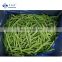 Sinocharm Xiamen  diameter 8-10mm Frozen Green Beans IQF Whole Green Beans