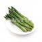 Sinocharm frozen vegetable ISO BRC  IQF Frozen Green Asparagus Spears L:15cm  Asparagus Whole