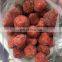 IQF Frozen A13 25-35mm Strawberry From China