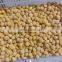 Hot Sale Best Quality Haaccp Certified Frozen Ginkgo Nut