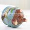 Home Succulent Plant Flower Pots Glazed Creative Hand Painted Pot Korea Plants Succulents Live Flowerpot Tray Korean Planter