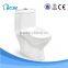 Guangdong Chaozhou Child Toilet Sanitary Ware One Piece Toilet