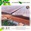 New type outdoor flooring,water-resisitant and pest-resisitant outdoor flooring