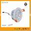 IP65 Waterproof 9W COB LED Downlight Llevado