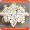 2016 top grade quality snow white pumpkin seeds