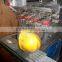 Dongguan Hoystar Precision Ink Cup Helmet Printing For 4 Color