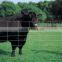 Heavy duty and safety cheap farm guard field fence