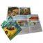 Full Color Children Book, Saddle Stiched Book, Comic Book Printing Quality Choice