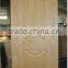 new design door skin