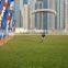 High Quality Beach Flag Rotating Ground Stake Spike