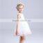 OEM Service Fairy Girl Puffy Embroidery Design Kids Clothes Girl Dress