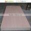 Profitimber Raw Large Size 5x10 Plywood