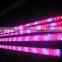 led strip light 5050 60d rgb 12v