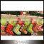 Christmas Decoration, Chevron Christmas Stocking
