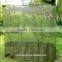 Wholesale cheap polyester army mosquito net