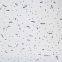 Soundproof Mineral Fiber Ceiling/Board