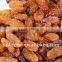 China dried sultana raisin