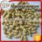 Raw peanuts in shell