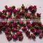 Dried Rose buds